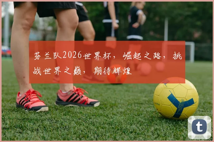 芬兰队2026世界杯，崛起之路，挑战世界之巅，期待辉煌
