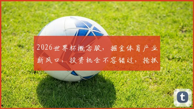 2026世界杯概念股，掘金体育产业新风口，投资机会不容错过，抢抓先机