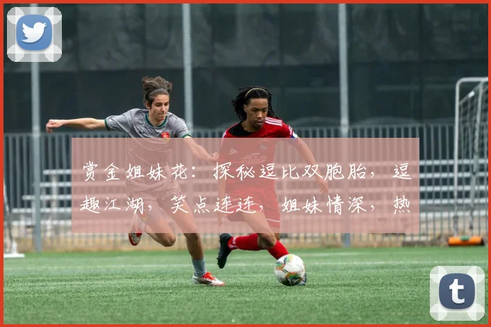 赏金姐妹花：探秘逗比双胞胎，逗趣江湖，笑点连连，姐妹情深，热血传奇